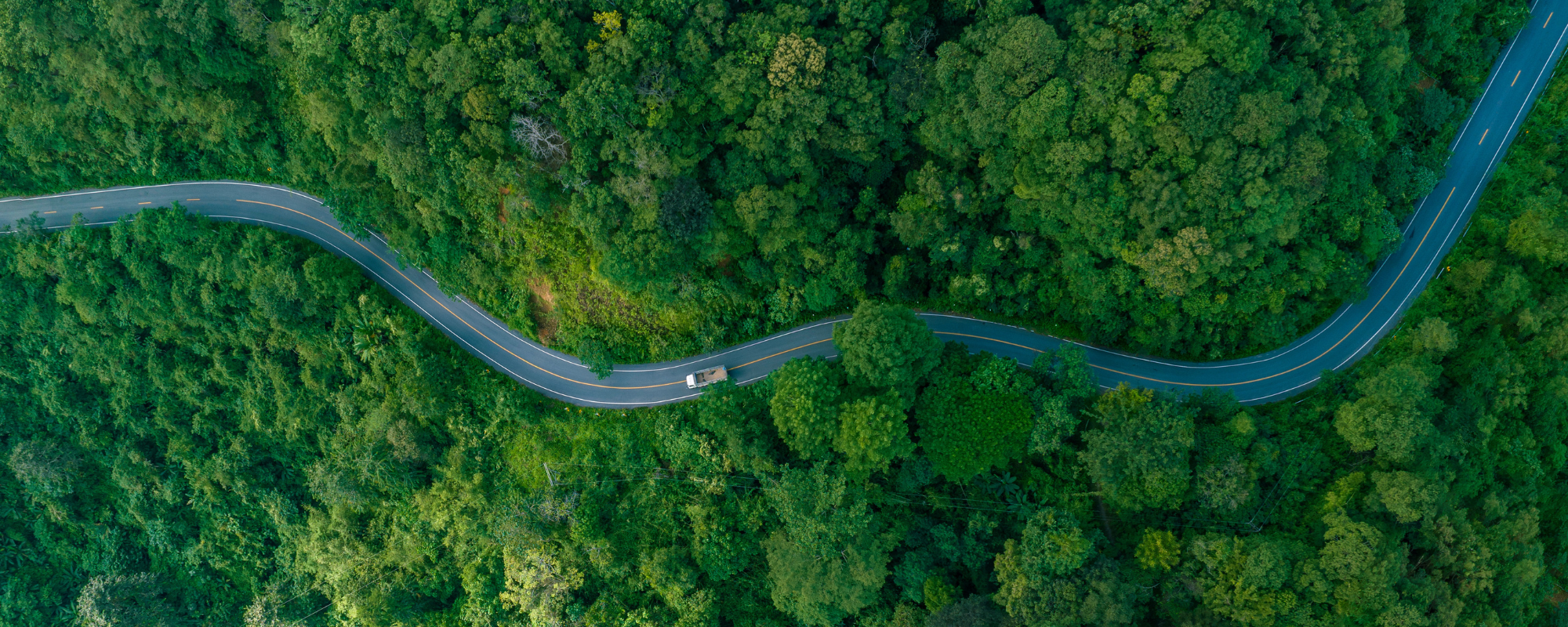 Aerial view of a winding road through a dense green forest, with a white vehicle traveling along it.